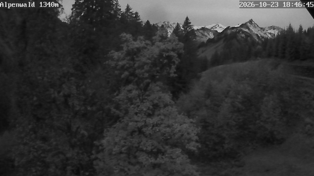 Image: Gasthof Alpenwald